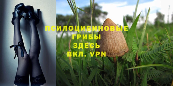 прущая мука Белокуриха
