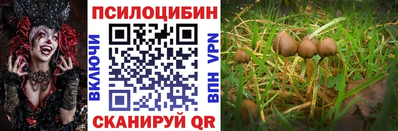Псилоцибиновые грибы Cubensis  Заволжье 